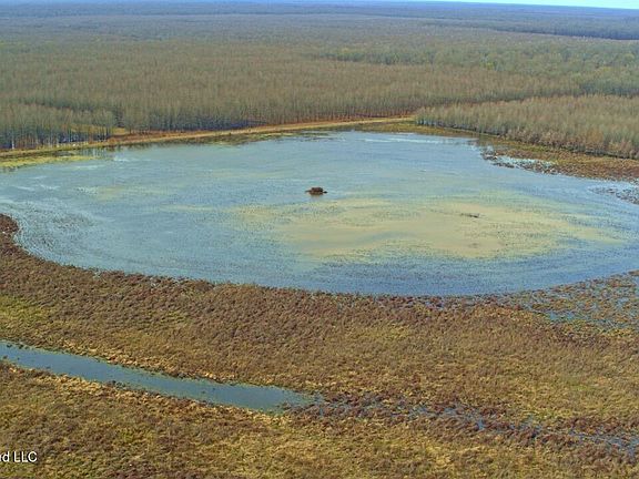 36th image of this home