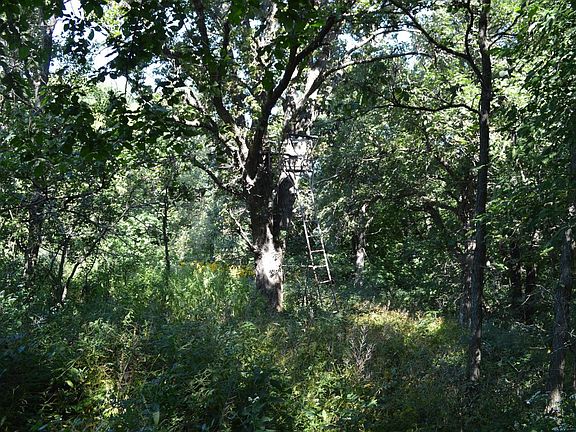 3rd image of 1024 340th Ave Lot Wp002