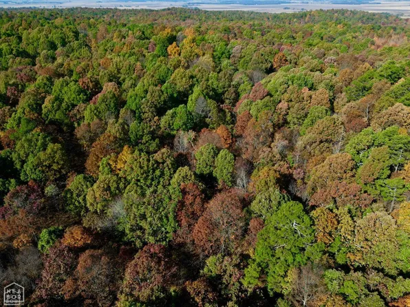 1-000 Green St #125, Paragould, AR 72450