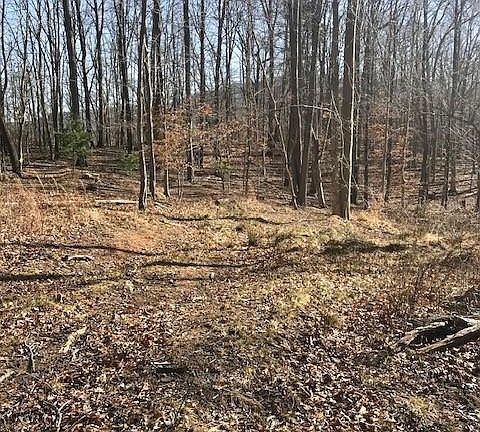 2nd image of 830 Green Mountain Dr
