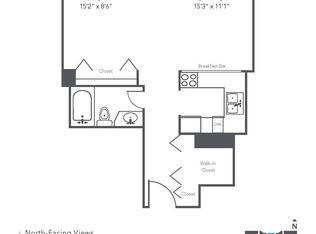 441 E Erie St APT 4701, Chicago, IL 60611