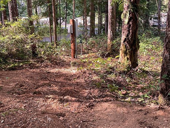 5th image of 51 N Hamma Hamma Drive E