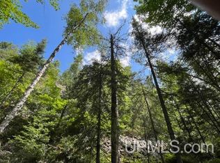 20 Acres Off, Ishpeming, MI 49849
