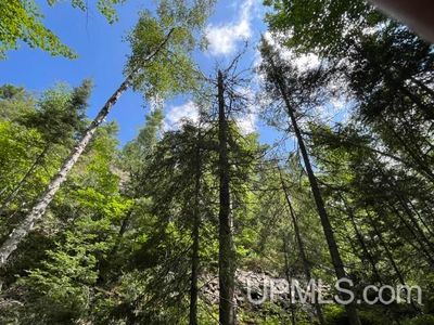 20 Acres Off, Ishpeming, MI, 49849