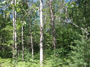 14640 Shoreline Dr LOT 97, Wolverine, MI 49799