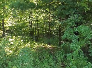 46 Clute Hill Rd, Richford, NY 13835