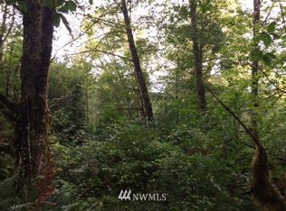 0 Pioneer Creek Ln, Cosmopolis, WA 98537
