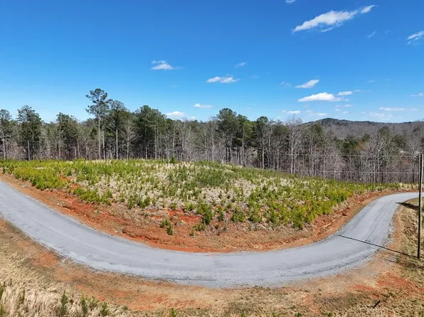 155 Shallow Water Trl, Talking Rock, GA 30175