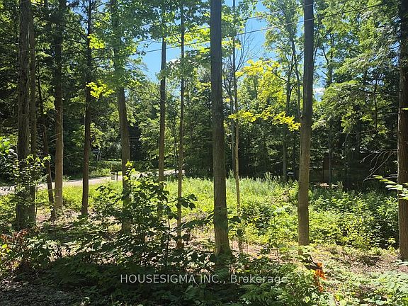 5th image of 68 Beauremi Rd