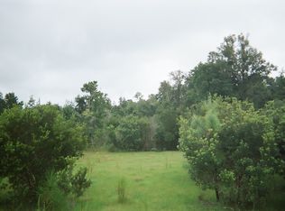 US Hwy 17, Pierson, FL 32180