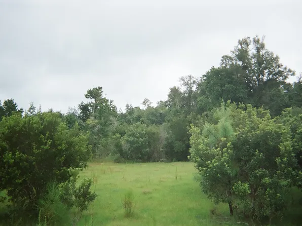 US Hwy 17, Pierson, FL 32180