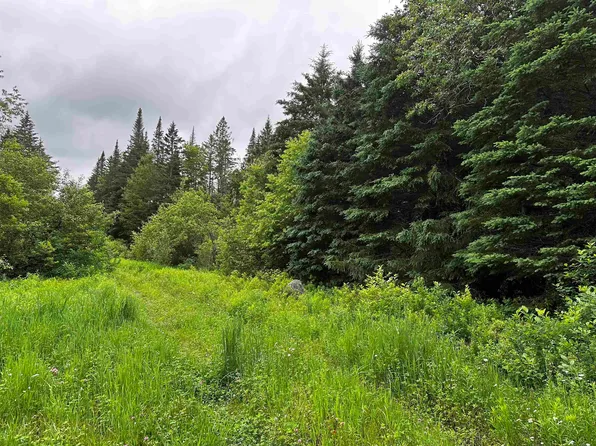 00 Cole Road, Walden, VT 05873
