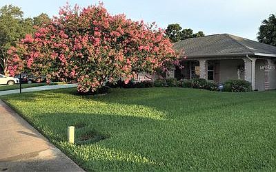 2nd image of 1332 Gillespie Dr