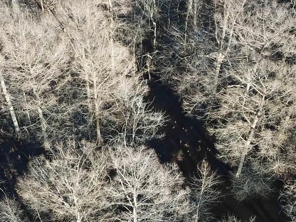 (undisclosed Address), Holly Grove, AR 72069