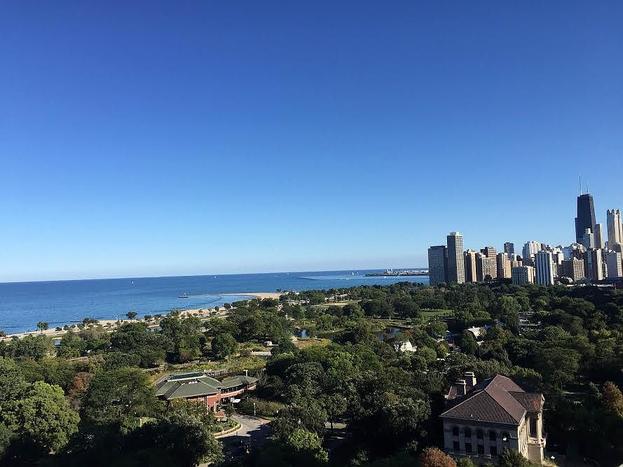 View from Roof