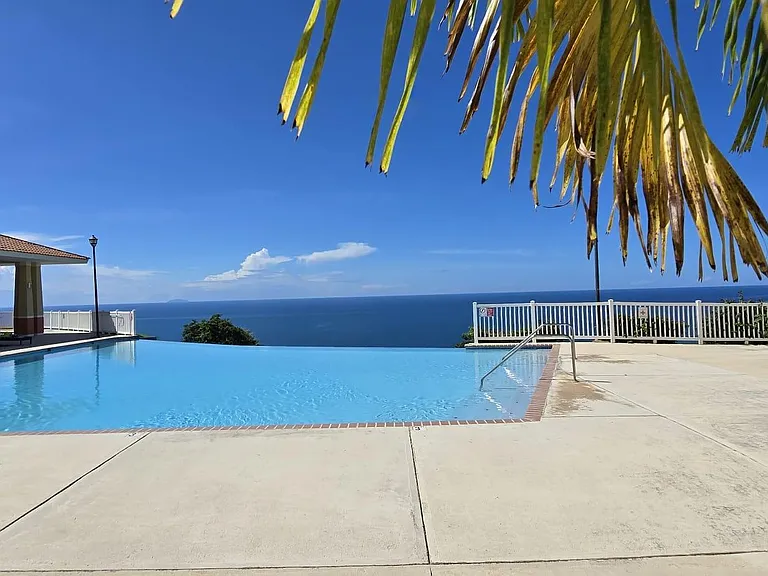 117 Calle Andalucia Point — Photo 29