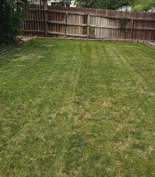3153 E Merganser Ln — Photo 18