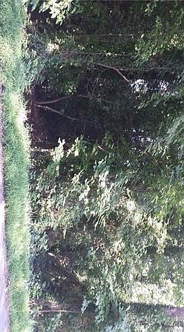 2nd image of 4001 Beulah Rd