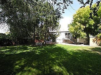 Back yard