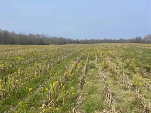 0 Valentine Rd, New Concord, KY 42076