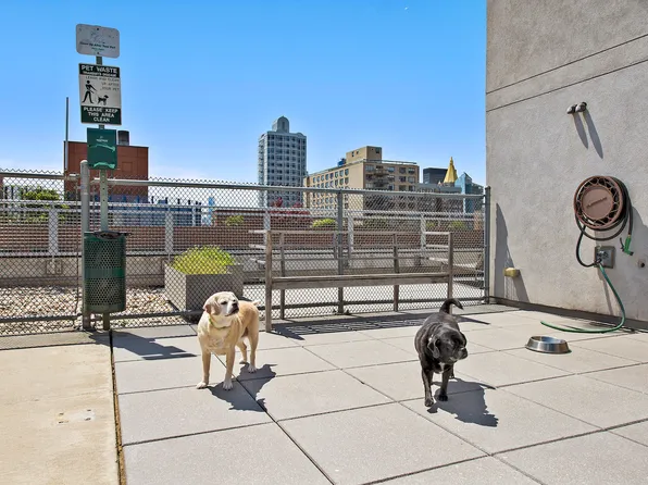 225 East 34th Street 19C image 17 of 17