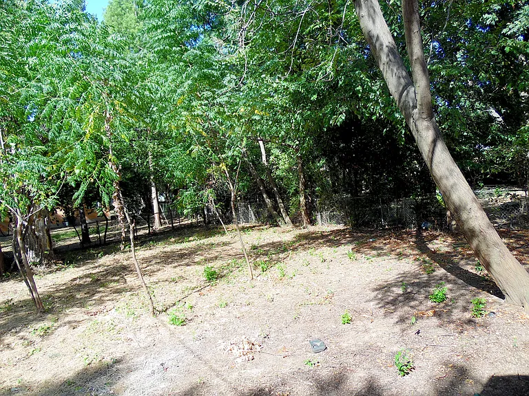 1006 Candice Ln — Photo 10