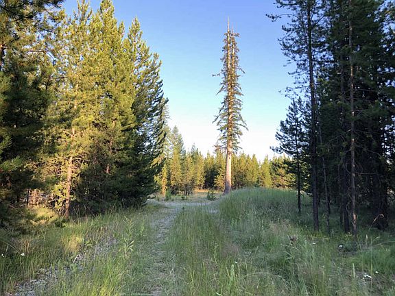 5th image of 1102 Marion Hubbart Spur