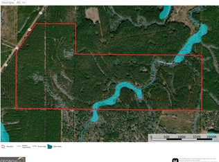 290 Acres Hwy #121, Surrency, GA 31563