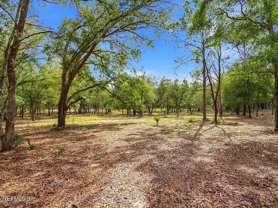 1st image of TBD OLD WELAKA (PARCEL A) Road