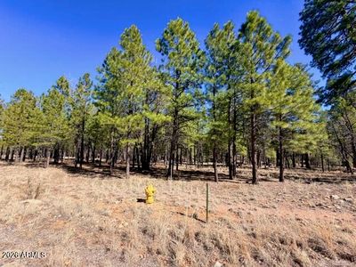 1921 PINE CANYON Drive #170, Happy Jack, AZ, 86024