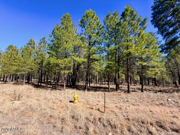 1921 PINE CANYON Drive #170, Happy Jack, AZ 86024