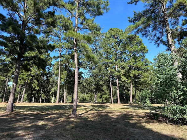 Spring Branch Rd, Montgomery, TX 77316