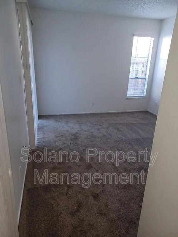 Studio, $1,595 — Photo 4