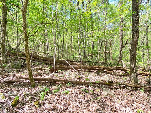 2nd image of 0 Hensley Hollow Rd