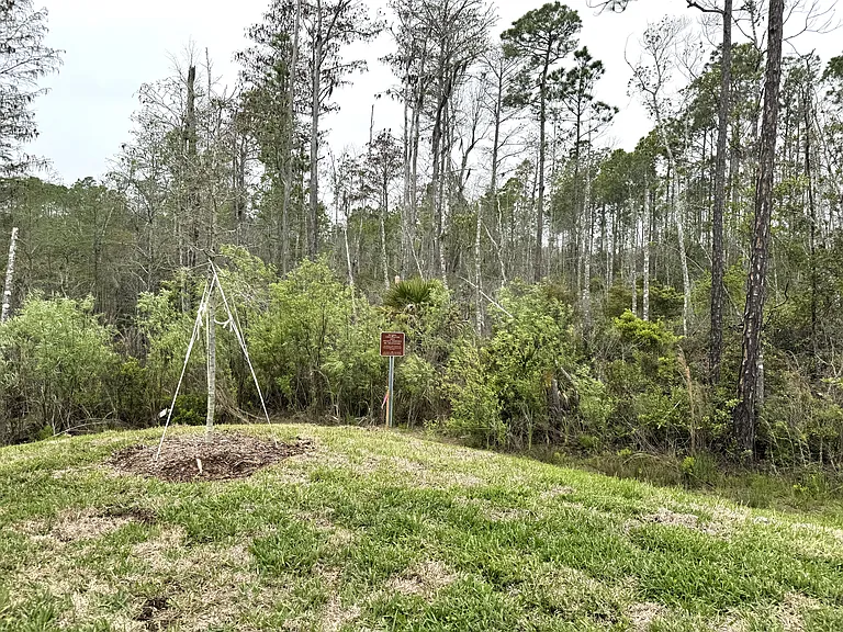 6 Blue Grotto Pl — Photo 38
