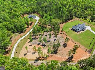460 Mount Olive Church Ln, Canton, GA 30114