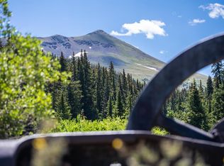 County Road 765n, Almont, CO 81210