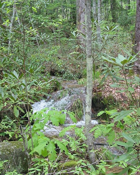 Brook Runs Across Property