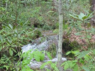 118 N Poplar Dr, Lake Lure, NC 28746