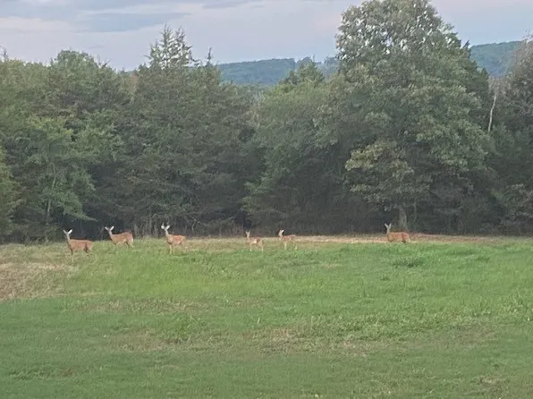 3130 NE Highway 71, Alma, AR 72921