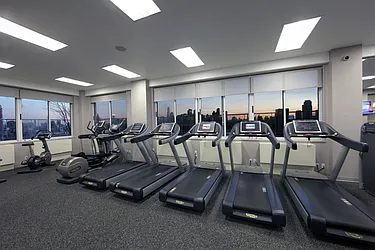 Rented by Manhattan Skyline