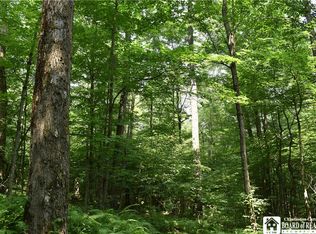 0 Sawmill Run Rd, Little Valley, NY 14755