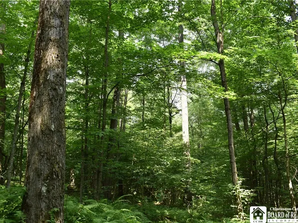 0 Sawmill Run Rd, Little Valley, NY 14755