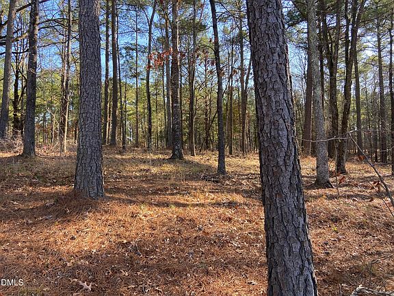 4th image of 9113 Moon Lake Ln Lot 22