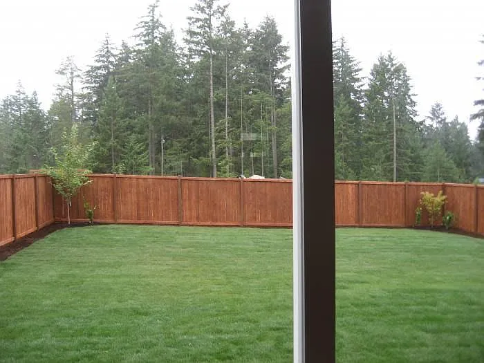Rear yard