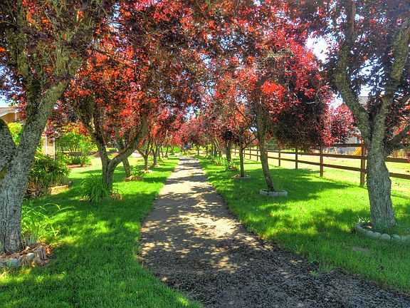 4th image of 4217 Indian Summer Dr SE