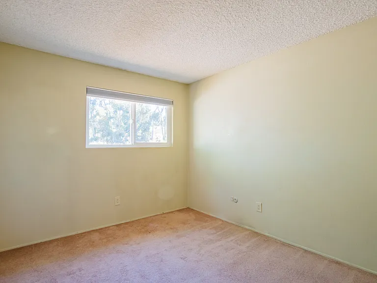 8067 Camino Kiosco — Photo 13