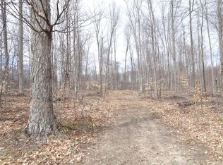 NULLB Chief Rd, Bear Lake, MI 49614