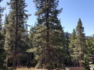 8803 Johnson Pass Rd, South Lake Tahoe, CA 96150