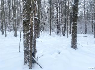 E Hill Rd, Friendship, NY 14739